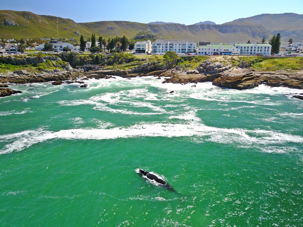 Windsor Hotel Hermanus Ngoại thất bức ảnh